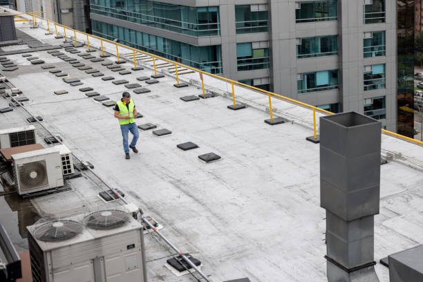 Best Cold Roofs  in Elk River, MN